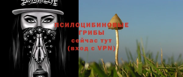 герыч Осинники