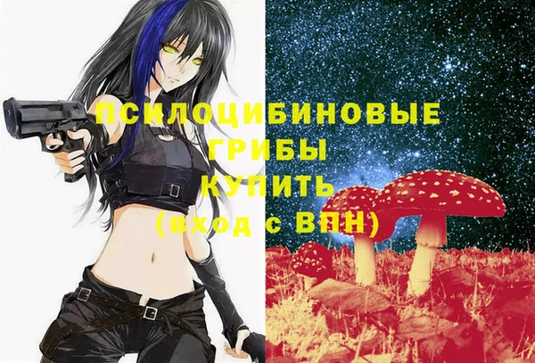 герыч Осинники