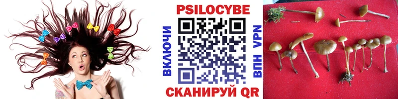 Галлюциногенные грибы GOLDEN TEACHER  где найти   Монино 